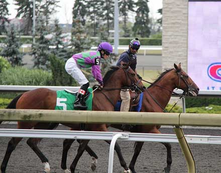 ブックメーカーによる競馬の払戻金について